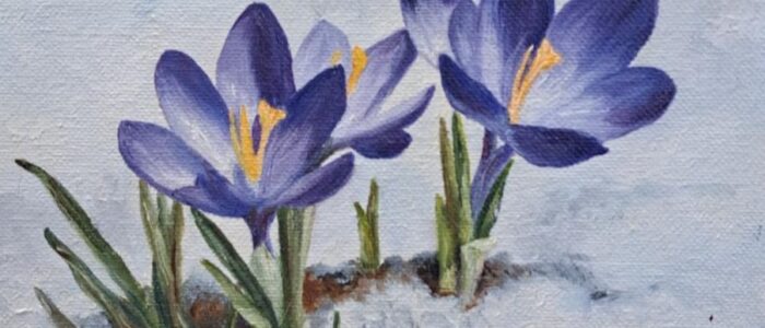 Krokus_2_1-700x300 Herzlich willkommen in der KAS