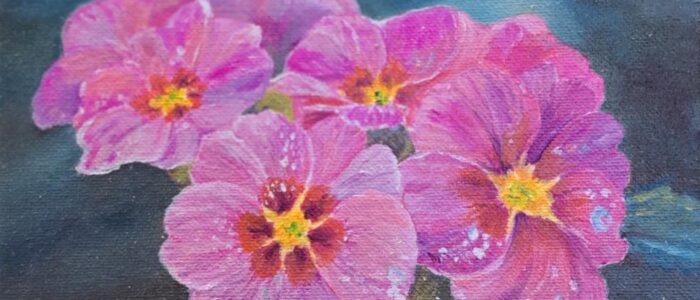 Primeli_2_1-700x300 Herzlich willkommen in der KAS