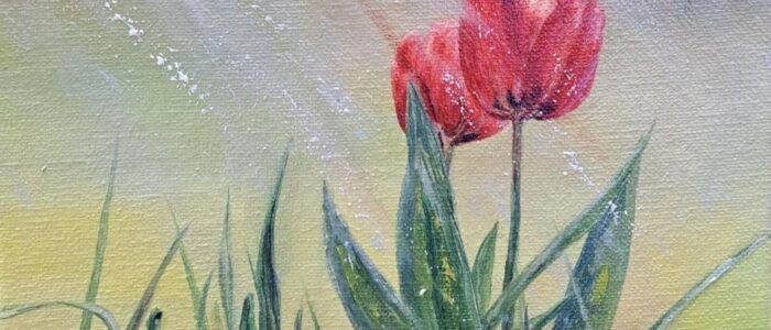 Tulpe_2_1-700x300 Herzlich willkommen in der KAS